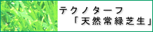 テクノターフ「天然常緑芝生」